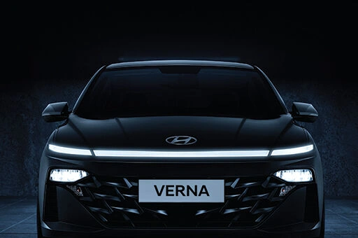 black fortn verna