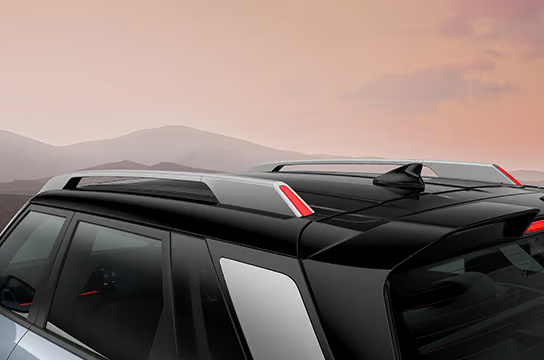 bridge-type-roof-rails